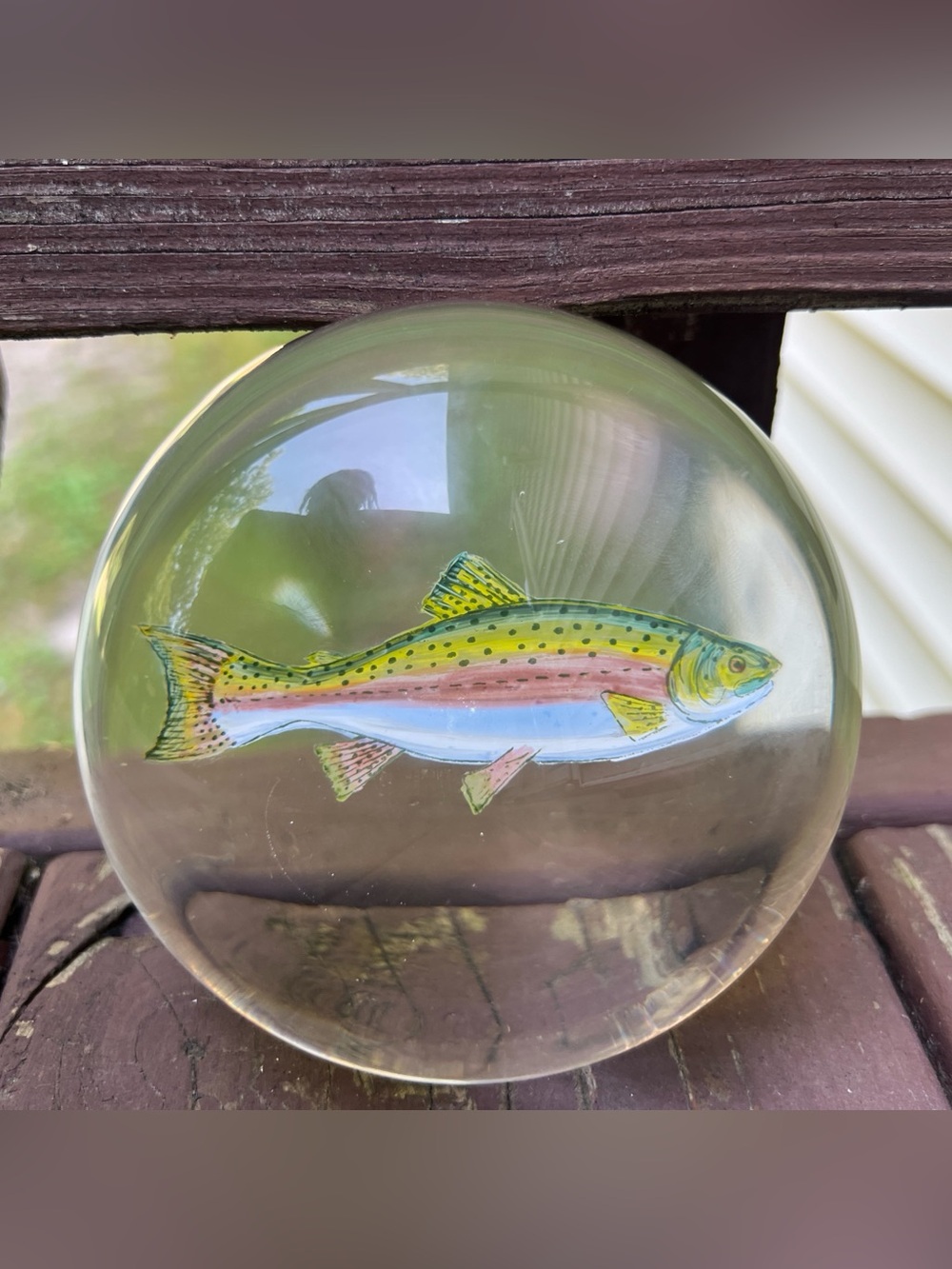Glass Dome Rainbow Trout Fish Paperweight Artisan Art Deco,Unsigned|Oceanic
